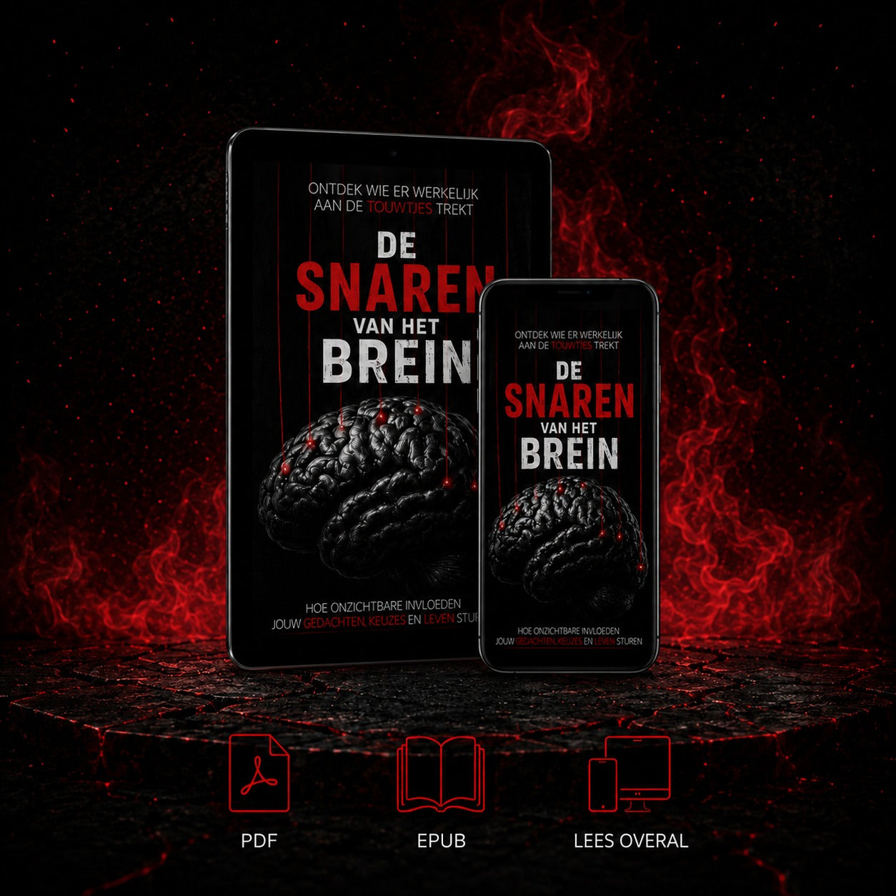 De Snaren van het Brein – E-book (PDF & EPUB)